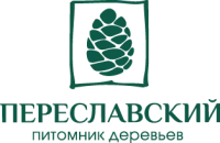 Саженцы Дуба крупномер