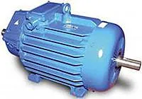 Электродвигатель 60кВт 570 МТН 612-10у1