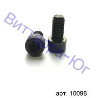 Болт М10х20 Schumacher 10098